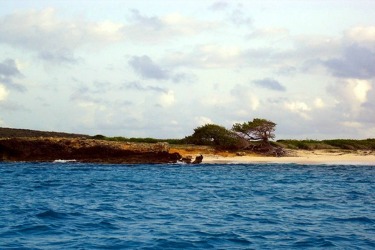 Dog Island Anguilla
